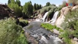 په تركي کې د سېلګرۍ صنعت بیرته په ښه کیدو دی