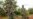 Surrender of LRA Commander Seen as Step Toward Justice