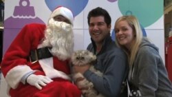 Pets Get Photos Taken with Santa