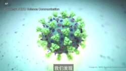 研究表明辉瑞疫苗对新冠变种病毒有效