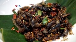 Susah Nggak Ya: Menyantap Masakan dari Serangga