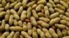 В США появилось лекарство от аллергии на арахис