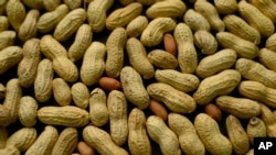 FILE - Health experts endorsed an experimental treatment, Sept. 13, 2019, for children with peanut allergies. An estimated 1.6 million children and teenagers deal with peanut allergies.