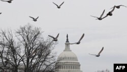 Капітолій США у Вашингтоні 27 лютого 2024 р. Фото Mandel NGAN/AFP