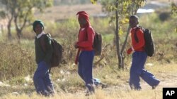 FILE: Schoolchildren return home from school after teachers boycotted their lessons, in the capital following a job boycott started via social media platforms, in Harare, Wednesday, July,6, 2016.