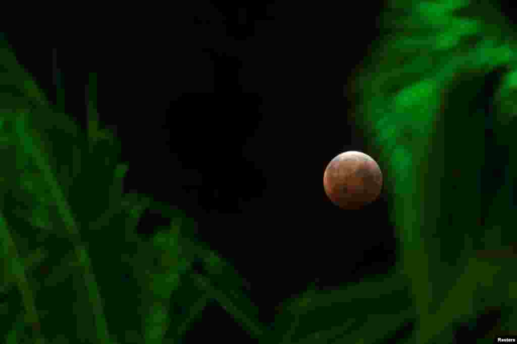 La Superluna, la m&#225;s grande y brillante del a&#241;o, coincidi&#243; con un total eclipse lunar haciendo que el astro luciera de color rojizo sobre los cielos de Honolulu, Hawaii.