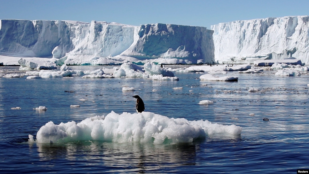 Seekor pinguin Adelie berdiri di atas bongkahan es yang mencair dekat stasiun penelitian Perancis di Dumont díUrville di Antartika.
