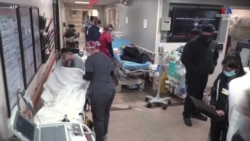 Վտանգավո՞ր են արդյոք պատվաստանյութերը մարդու համար