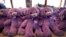FILE - Rows of "Bobbie Bear", a lavender and wheat stuffed soft toy, sit on a table at the headquarters of Tasmania's Bridestowe Lavender located near the town of Nabowla, Australia.