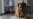 El perro más viejo del mundo fallece en Portugal a los 31 años