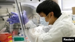 A scientist works in a lab testing COVID-19 samples at New York City's health department, during the outbreak of the coronavirus disease (COVID-19) in New York City, New York U.S., April 23, 2020. 