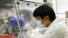 A scientist works in a lab testing COVID-19 samples at New York City's health department, during the outbreak of the coronavirus disease (COVID-19) in New York City, New York U.S., April 23, 2020. (Reuters/Brendan McDermid)