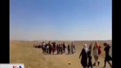 Jinên Êzîdî yên Şengalî Bo Tolhildanê li Reqa Ne