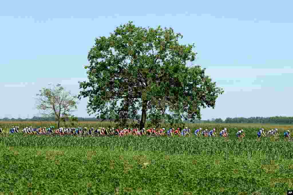Cyclists pedal through the countryside during the Milano Torino, a 198-kilometer cycling race from Milan to Turin, in Milan, Italy.