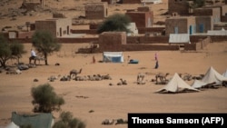 Des chameaux se reposent près d'Oualata en Mauritanie le 20 novembre 2018.