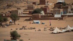 Le projet PNISER augmente l'eau pour le bétail mauritanien; la société Kibali continuera ses activités en RDC