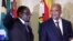 FILE: Zimbabwe's President Robert Mugabe (L) gestures as South Africa's President Jacob Zuma looks on at the end of a press briefing at the Union building in Pretoria, April 8, 2015.