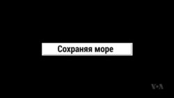 Cохраняя море