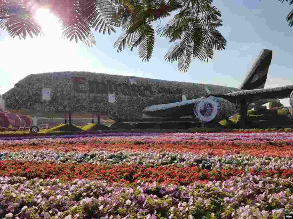 میراکل گاردن، دوبی عکس: محمدرضا (ارسالی شما)