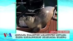 ამერიკა 60 წამში