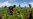Malawi President Advocates Agriculture Transformation