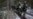 16x9 Image
