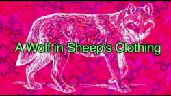 Thành ngữ tiếng Anh thông dụng: A wolf in sheep's clothing (VOA)