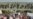 In Iraq, Thousands Protest for Better Services