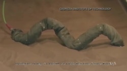 Snakelike Robot Never Gets Stuck in the Sand