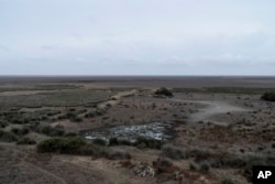 Dry marshland is visible in Doñana natural park, southwest Spain, Wednesday, Oct. 19, 2022. Farming and tourism had already drained the aquifer feeding Doñana. Then climate change hit Spain with record-high temperatures and a prolonged drought this year. (AP Photo/Bernat Armangue)