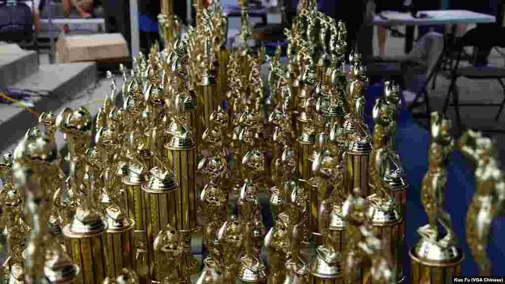 参加者众，奖杯如林