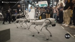 Artificial Intelligence is the star at CES tech show