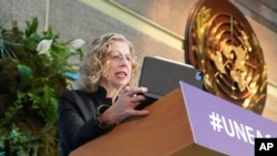 FILE — Inger Andersen, executive director of the U.N. Environment Program, speaks during the opening session of the 6th United Nations Environment Assembly at the U.N. offices in Nairobi, Kenya, February 26, 2024. 