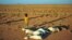A boy looks at a flock of dead goats in a dry land close to Dhahar in Puntland, northeastern Somalia, on December 15, 2016. Drought in the region has severely affected livestock for local herdsmen.