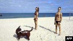 "Gökyüzü Düşüyor" Hannah Kidd. Kumsal yapıtları yarışması