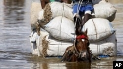 Selon le département des ressources hydriques, 276 millimètres de précipitations sont tombés en deux jours dans la capitale Banjul.