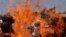 An Indian firefighter wearing a fire proximity suit walks through a wall of flames during a demonstration of firefighting skills for Fire Safety Week in Bhubaneswar. Fire Safety Week runs April 14-20 across India.