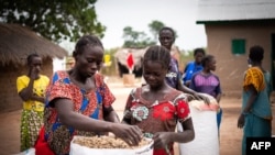 Célestine Inforo, une agricultrice, met ses cacahuètes dans des sacs à Paoua, dans le nord-ouest de la République centrafricaine, le 1er décembre 2021.