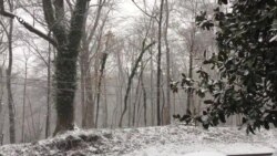 Весенний снегопад