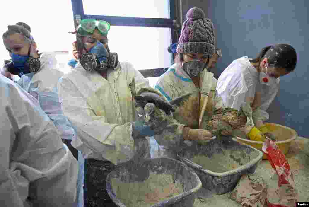 Volunteers use flour to clean birds following an oil spill which was caused by an incident involving two tankers damaged in a storm in the Kerch Strait, in the village of Vityazevo near the Black Sea resort of Anapa, Russia, Dec. 20, 2024. 