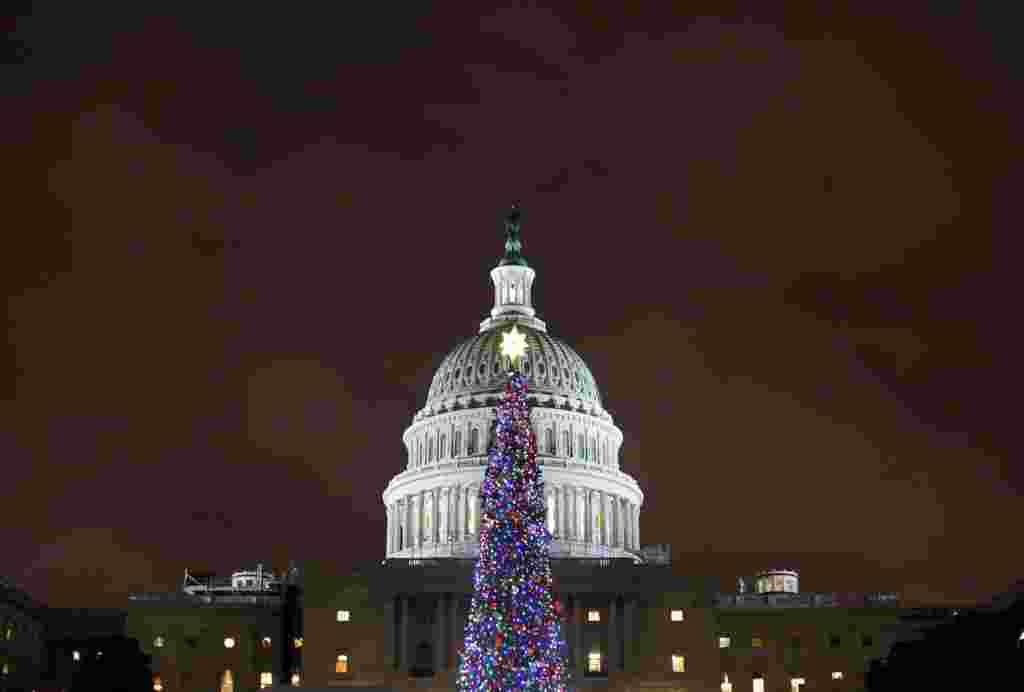 این درخت کریسمس هر سال جلوه خاصی به ساختمان کنگره و شهر واشنگتن می دهد