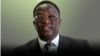 Vice President Emmerson Mnangagwa. (Collage by Ntungamili Nkomo)