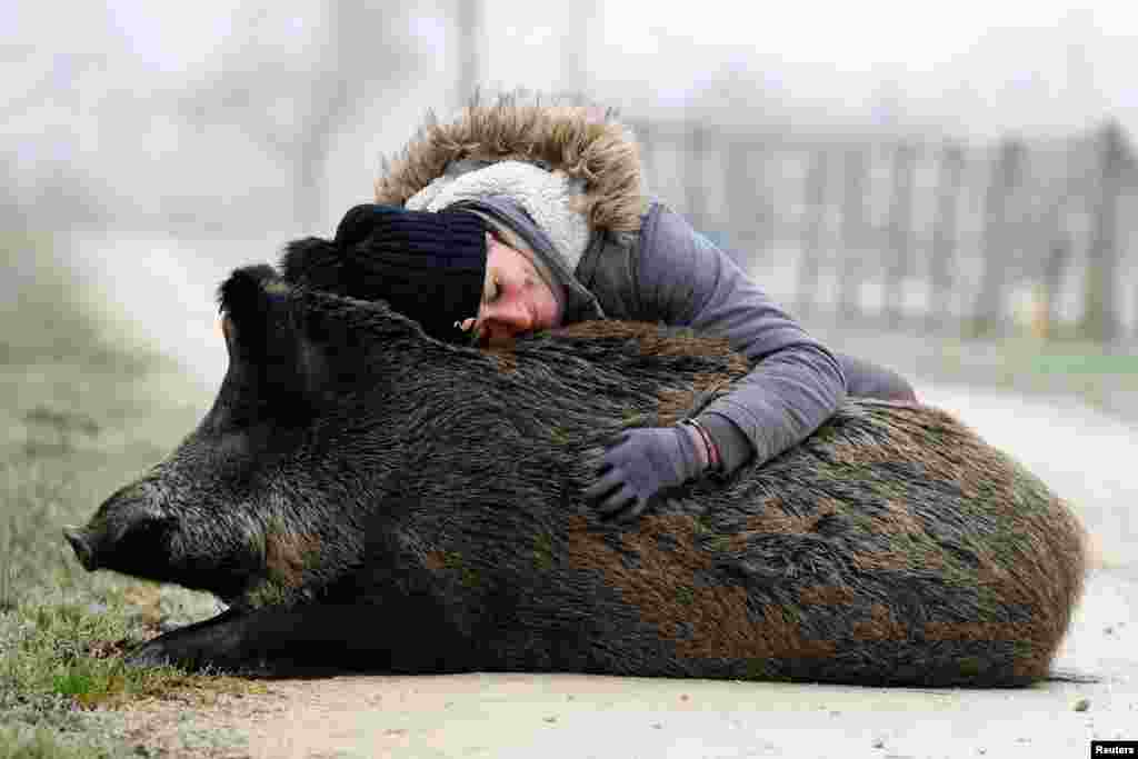 French horse breeder Elodie Cappe hugs "Rillette", a wild boar she rescued as a piglet in 2023 that is now at the center of a legal dispute over the keeping of wild animals in France, at her farm in Chaource, France, Jan. 15, 2025.