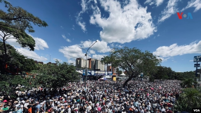 En medio de las oraciones y el pago de promesas de sus devotos, la imagen de la Divina Pastora recorrió toda la ciudad hasta llegar la Catedral de Barquisimeto. [Foto: Fabiana Rondón, VOA]