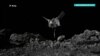 НАСА захватит грунт с астероида Бенну
