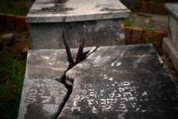 A plant protrudes through the lid of a tomb at the Jewish cemetery in Guanabacoa, eastern Havana, Cuba, June 12, 2019.