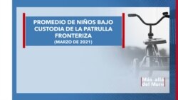 Gráfica animada sobre el promedio de niños bajo custodia de la Patrulla Fronteriza (MAM)
