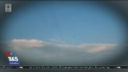 اخبار شامگاهی