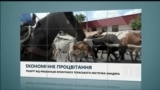 Вікно в Америку. Як американські «Бандерівці» знайшли рецепт економічного успіху.