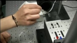 ရွှေ့လျှားနိုင်တဲ့ ပလပ်စတစ် Polymers